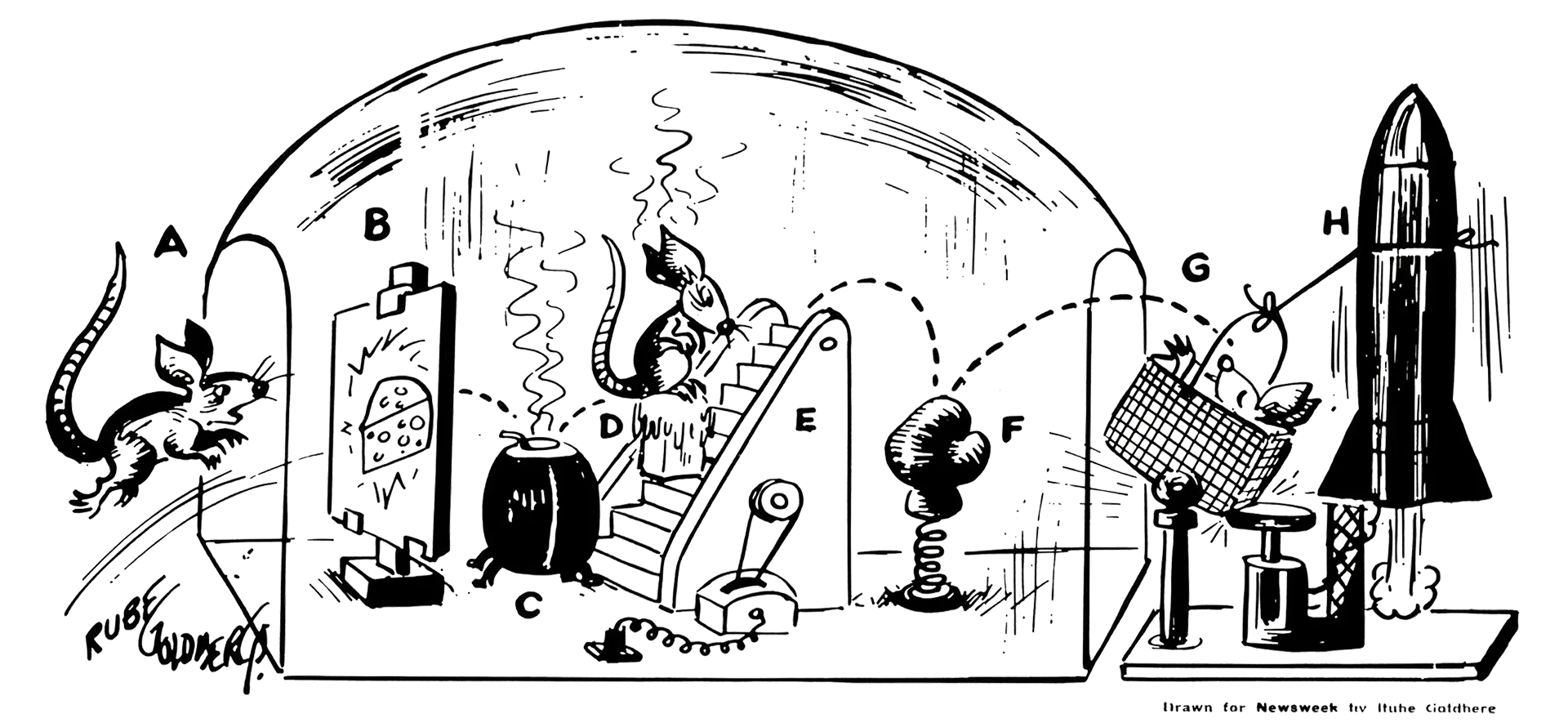 Rube Goldberg Machine Mouse Trap Illustration licensed